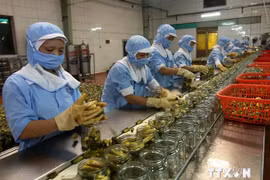 Traitement de produits agrcioles pour l'exportation. (Source : VNA)
