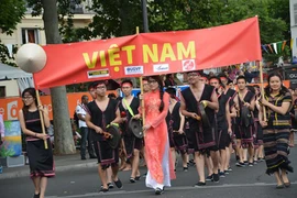 Pour cette année du Vietnam en France, le Vietnam est représenté par une troupe d’artistes du gong de la province de Kon Tum, dans les Hauts-Plateaux du Centre. (Source : VNA)