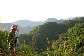 Stratégie de protection de la cordillère Truong Son 
