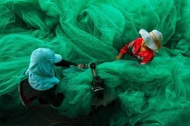 La photo montrant deux femmes cousant un filet de pêche gagne le Grand prix du 12e concours annuel de photographie, organisé par le magazine Smithsonian. 