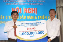 De nombreuses activités s'orientent vers la mer et les îles du Vietnam. Photo : VNA