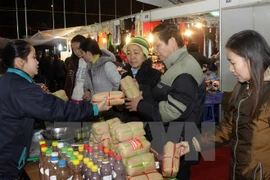Ouverture de la Fête du printemps de Hanoi 