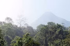 Le parc national de Ba Vi, Hanoi. (Source: VNA)