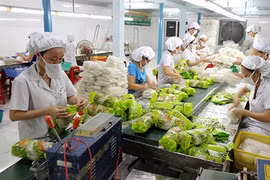 Une chaîne de production de vermicelles de riz de la compagnie Bích Chi. Photo : V.TR/CVN/VNA