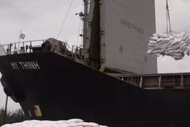 Le Vietnam va exporter 50.000 tonnes de riz en Sierra Leone 