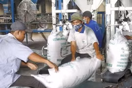 Le riz vietnamien tente le marché sud-coréen 