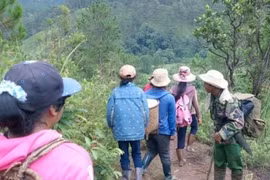 La réserve de biosphère de LangBiang. Photo : Net