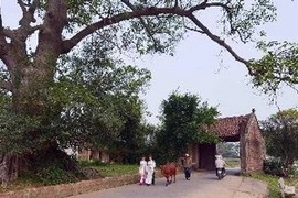 La porte du village de Duong Lam. (Source: VNA)