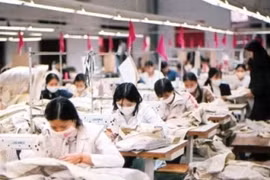 Photo d'illustration. Source : VNA