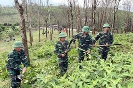 Le règlement des conséquences des bombes et mines laissées après la guerre dans la ville de Hue. (Photo: Trong Đuc/AVI)