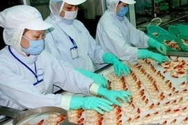 Transformation des produits aquatiques pour l'exportation. (Photo: AVI)