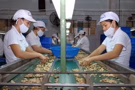 Photo d'illustration. (Source: AVI)