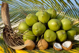 La noix de coco. Photo : Internet