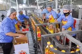 (Photo d'illustration: Hong Ky/AVI)