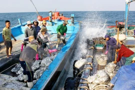 La pêche à l'extérieur du golfe du Bac Bo. (Source: VNA)