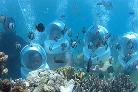 La marche sous l’eau, que l’on peut pratiquer à Nha Trang, fait déjà de nombreux adeptes. Photo : KH/CVN
