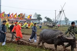 La fête des Labours à Doi Son, province de Ha Nam (Source: hanamtv.vn)