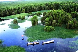 Le parc national de Mui Ca Mau (Source: Internet)
