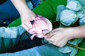 À la saison de la floraison des lotus, vers la fin de l’été, on parfume le thé à l’aide des étamines. Un travail de fourmi. (Source: VNA)