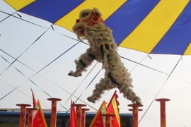 Une équipe participe au 1er concours national des danses de la licorne et du dragon 2014. Photo : VNA
