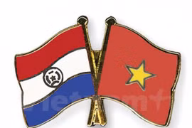 Consultation politique Vietnam-Paraguay. (Source : VNA)