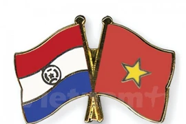 Consultation politique Vietnam-Paraguay. (Source : VNA)