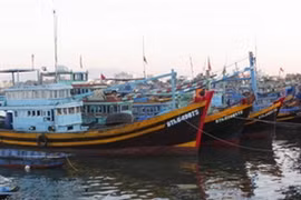 Photo d'illustration (Photo: Ngoc Ha/AVI)