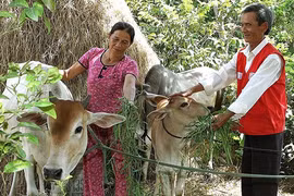 La lutte contre la pauvreté est toujours prioritaire au Vietnam. Photo: Duong Ngoc/VNA