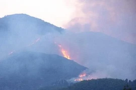 Un incendie dans la forêt à usage spécifique de Nam Hải Vân. (Photo: Tran Le Lem/AVI)