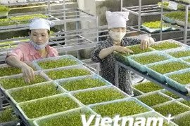Source: VNA