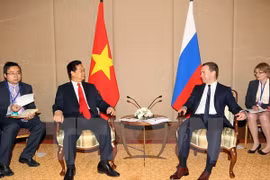 Rencontre Nguyen Tan Dung et Dmitry Medvedev. (Source : VNA)