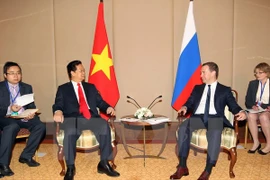 Rencontre Nguyen Tan Dung et Dmitry Medvedev. (Source : VNA)