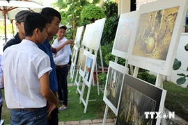 Des visiteurs à l'exposition photographique sur les patrimoines. Photo/VNA