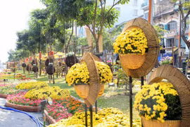 La rue florale d'Hô Chi Minh-Ville. Photo: VNA