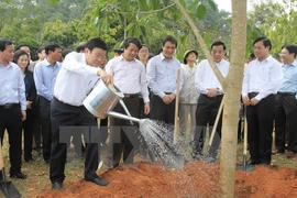 Le président du Vietnam, M. Truong Tan Sang, a participé le 24 février à la Fête de plantation d'arbres du Printemps At Mui 2015. Source: VNA