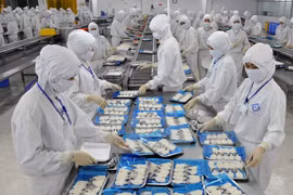 Photo d'illustration. (Source: VNA)