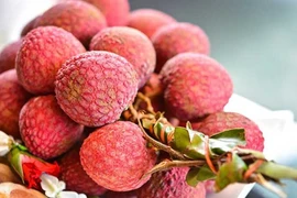Les fruits vietnamiens se taillent la part du lion sur le marché australien