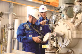 La gestion du risque en période de la volatilité aide le PVN à se maintenir et à croître