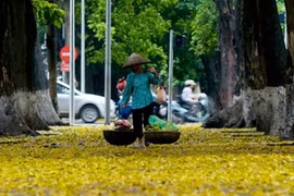 En automne, Hanoi dévoile son charme