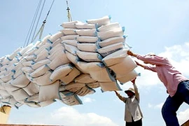 3,3 millions de tonnes de riz exportés depuis janvier 