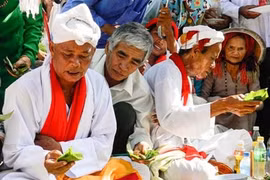 Ninh Thuân : la cérémonie de sollicitation de la tranquillité des Cham