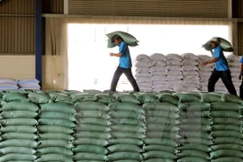 50.000 tonnes de riz du Vietnam et de Thaïlande seront exportées en Indonésie début 2016