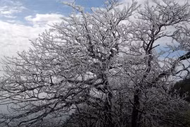 Il y aura peu de jours très froids cet hiver