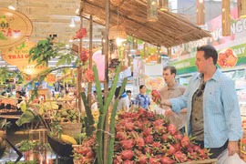 Les fruits vietnamiens à la conquête des marchés exigeants 