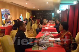 Promotion du tourisme du Viet Nam en Indonésie 