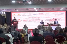 Promotion des liens commerciaux Vietnam-Russie