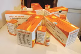 Les vaccins «made in Vietnam», fierté du pays