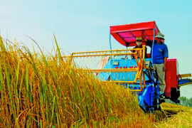 Directive du PM sur le projet de restructuration de l'agriculture