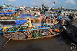 Ouverture de la Semaine de la culture et du tourisme du Delta du Mékong 2015