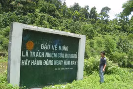 La protection des forêts, un moyen efficace de lutte contre la pauvreté 